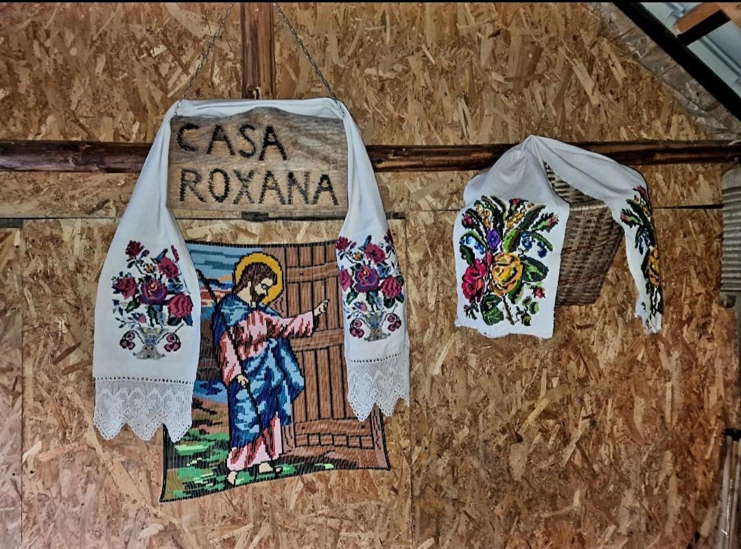 Casa Roxana Villa Középvisó Kültér fotó