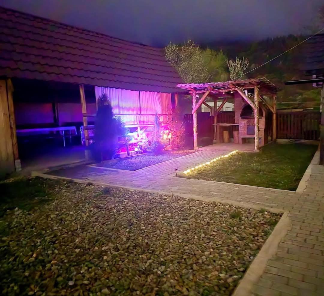 Casa Roxana Villa Középvisó Kültér fotó